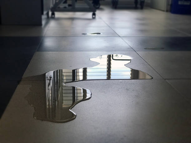 Water damage restoration experts in OR