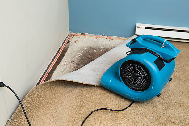 Best Water damage restoration experts  in Durham, OR